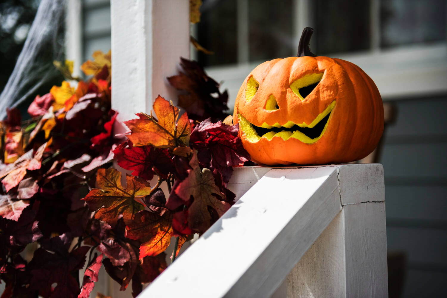 Foto: Imagen de archivo de Halloween (Freepik/rawpixel.com)