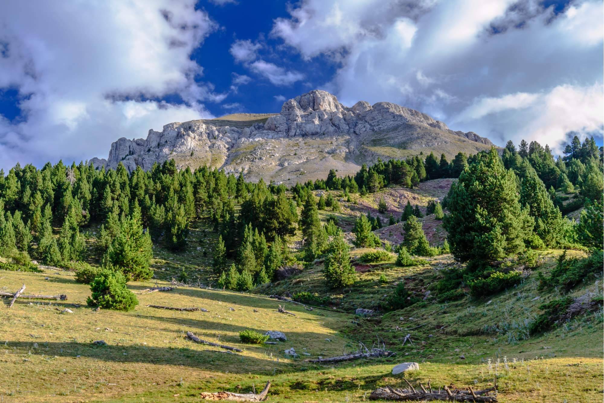 Foto: Vista de una de las principales cadenas montañosas del Prepirineo catalán. (Shutterstock) 