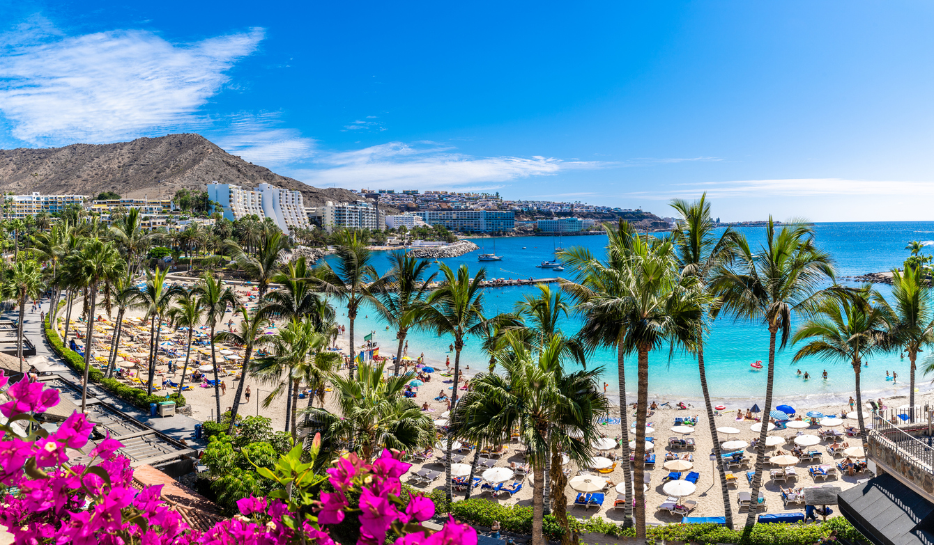 Foto: (Fuente: iStock)