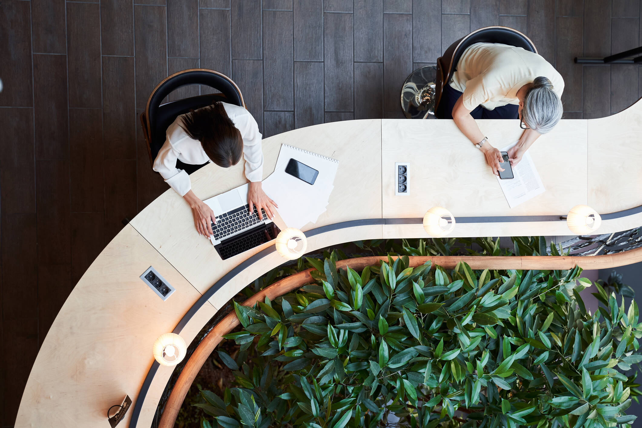 Foto: (istock)
