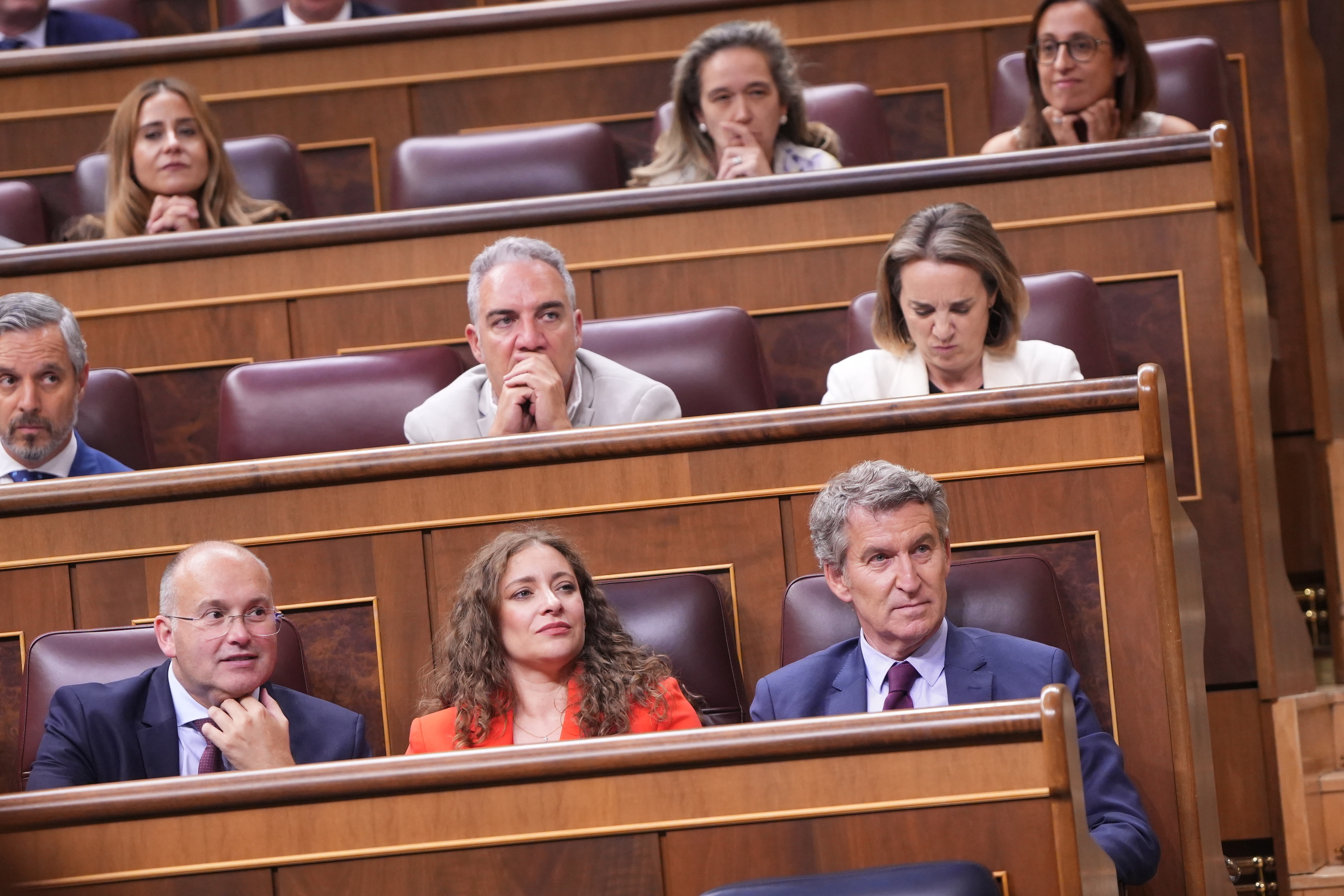 Alberto Núñez Feijóo, junto a Muñoz, Tellado y los diputados del PP en el Congreso.