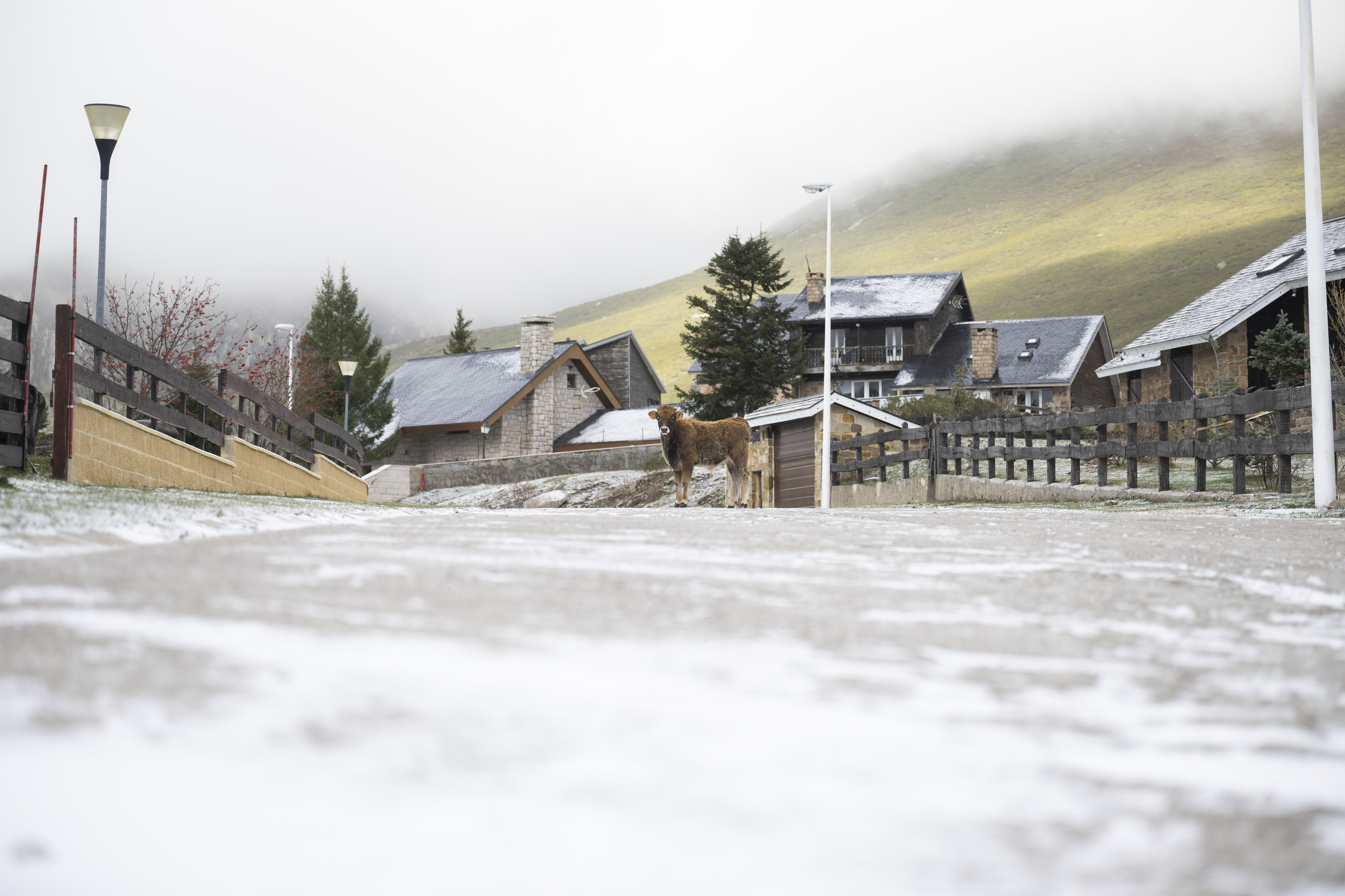 La localidad cántabra de Brañavieja (Cantabria) con sus primeras nieves.