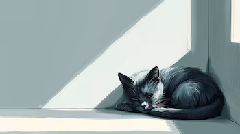 Un gato abandonado silenciosamente por