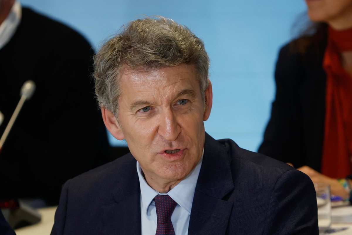 Alberto Núñez Feijóo (Europa Press)