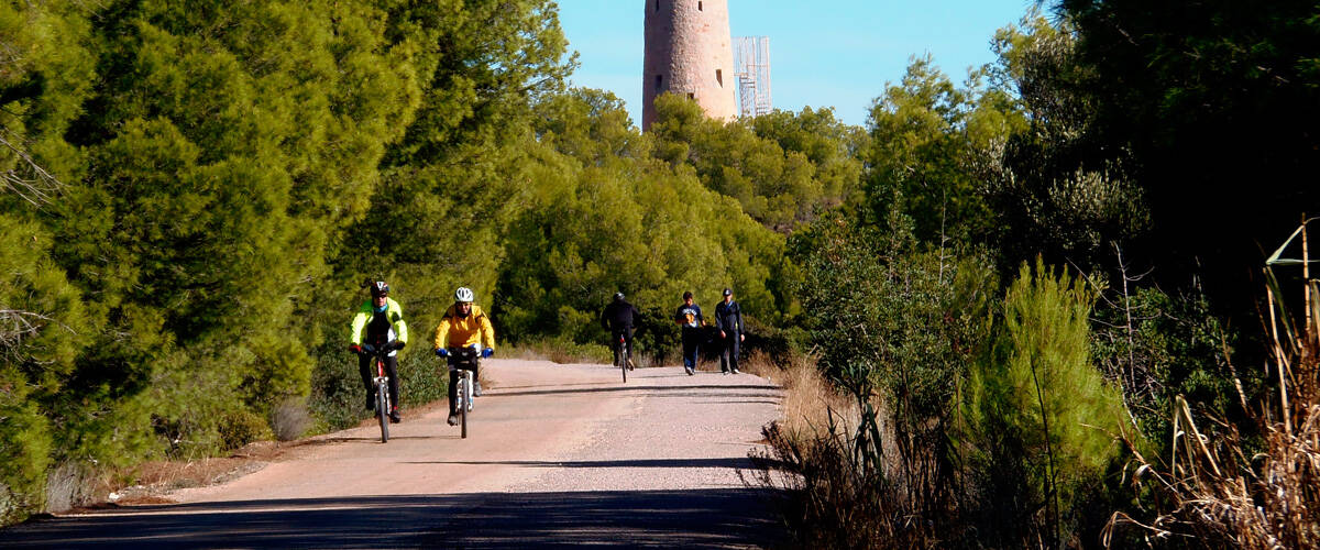 Foto: La Vía Verde que tienes que recorrer andando o en bici en Castellón. (Vías Verdes Fundación de los Ferrocarriles Españoles)