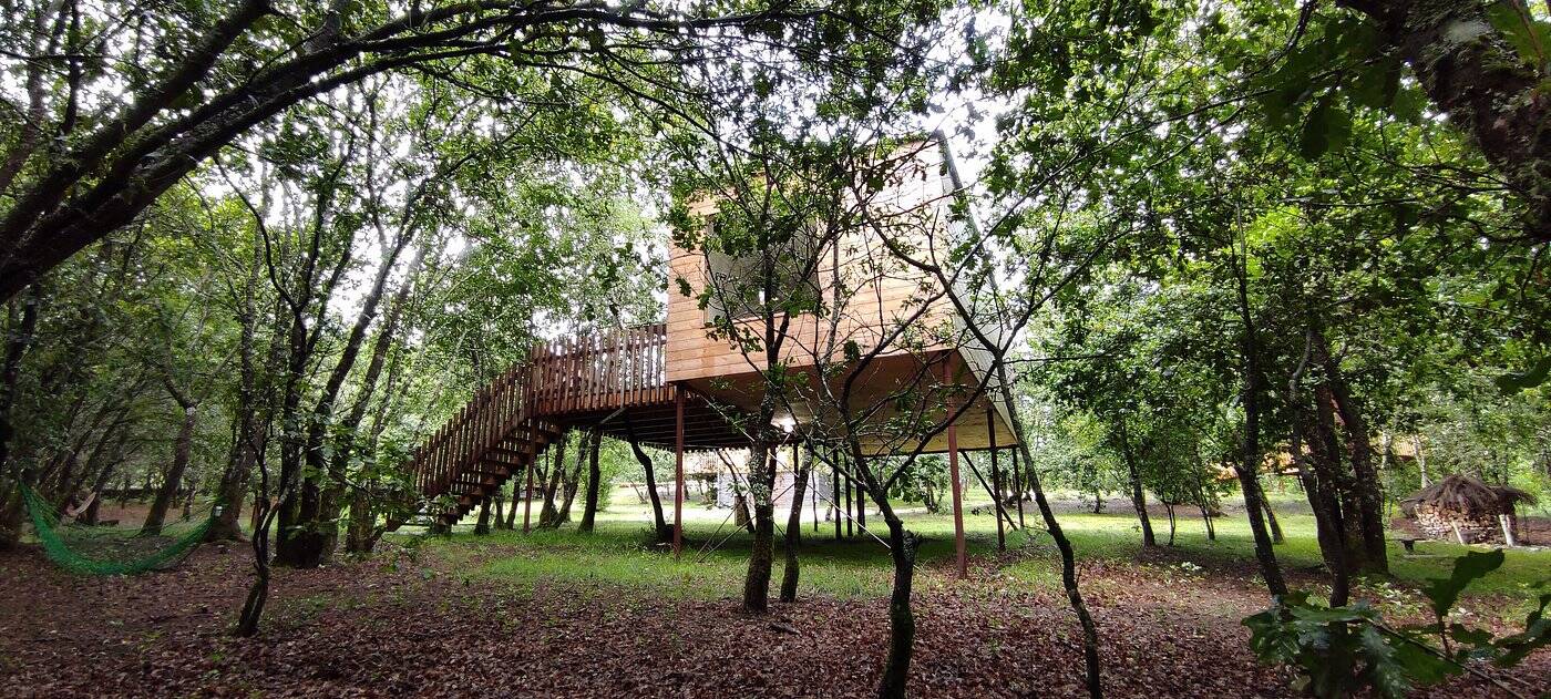 Foto: Este camping en Galicia nos ofrece un estancia realmente agradable en plena naturaleza. (Tripadvisor)