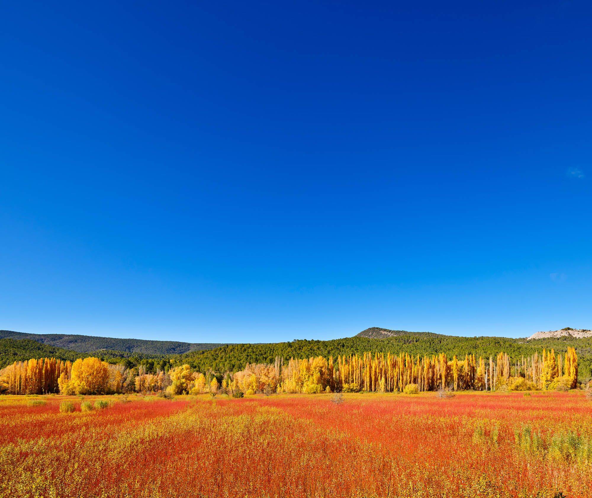 Foto: La maravilla natural que National Geographic te recomienda conocer en Cuenca en noviembre. (Turismo de Castilla-La Mancha)