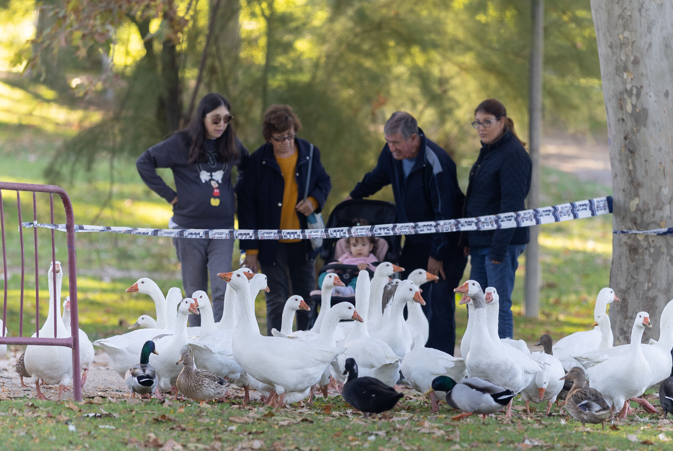 Foto: Parque del Soto de Móstoles. (Europa Press/Eduardo Parra)