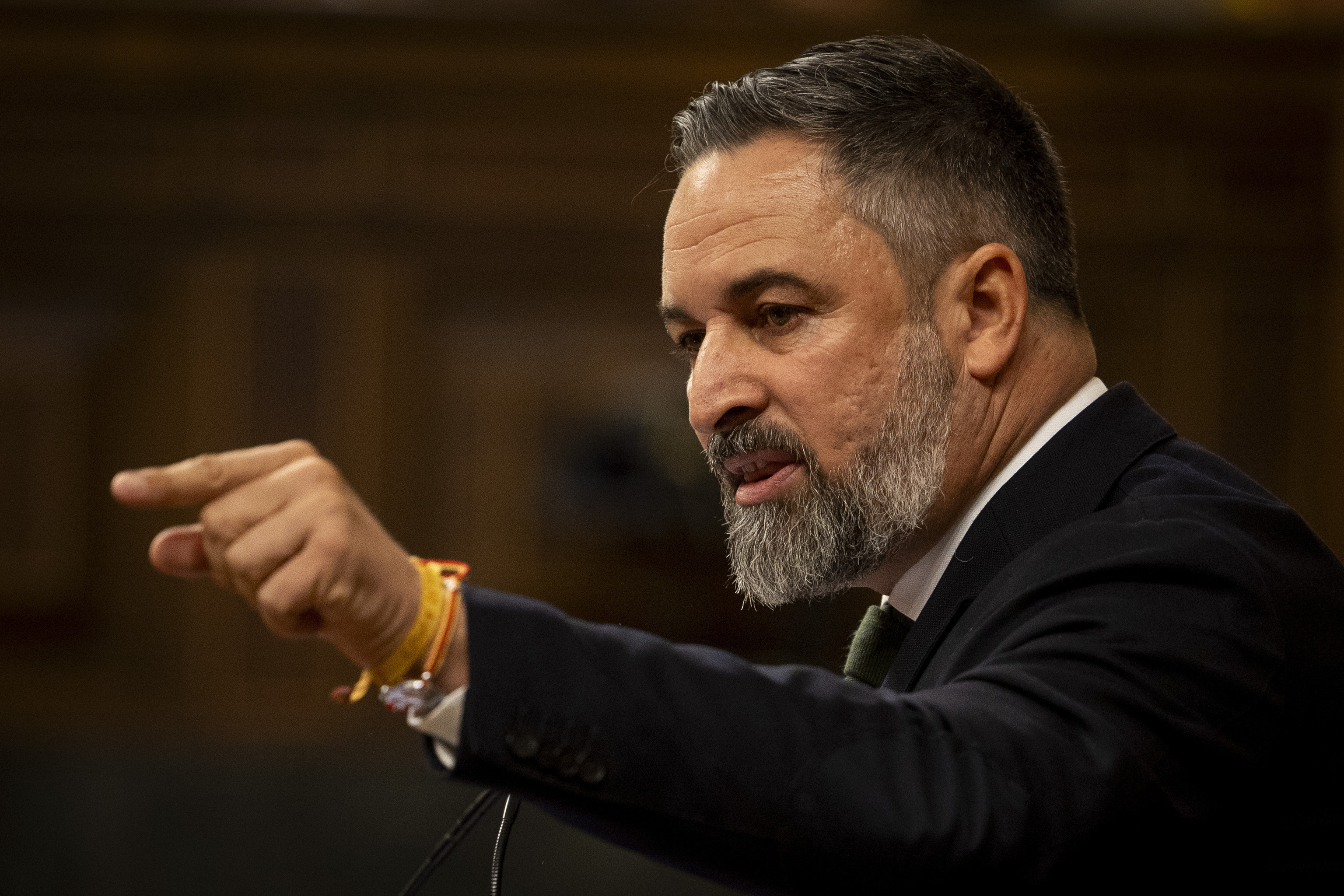 Santiago Abascal, presidente de Vox.