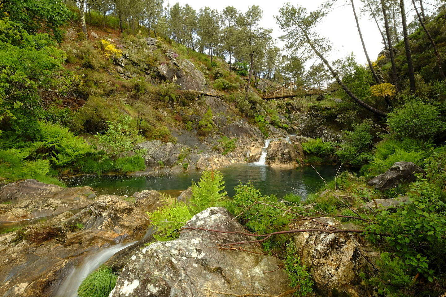 Foto: La ruta de senderismo que tienes que hacer sí o sí en Pontevedra. (Turismo de Galicia)