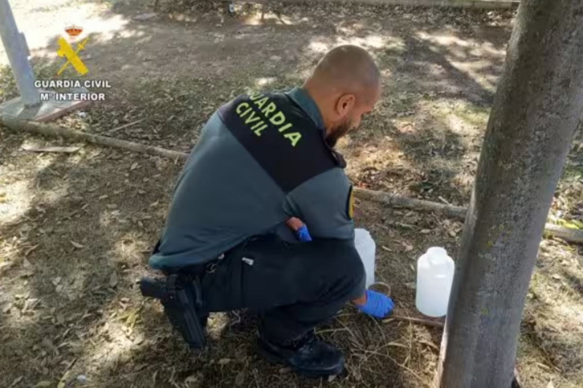 Un agente de la Guardia Civil, durante la inestigación.