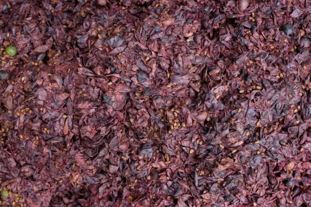 Imagen con fondo de orujo de uva fermentada