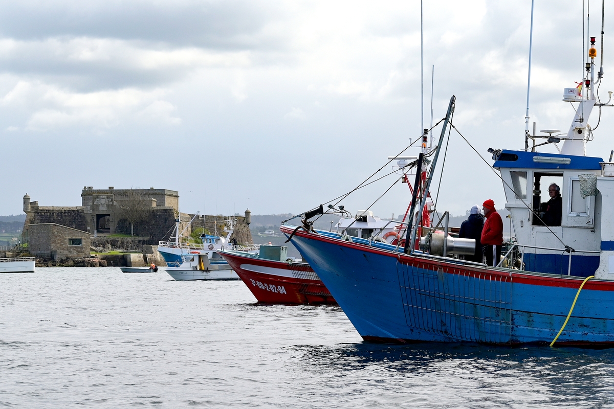 Varios barcos de flota artesanal.(M.