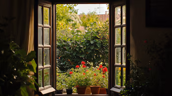 La casa no podrá ser