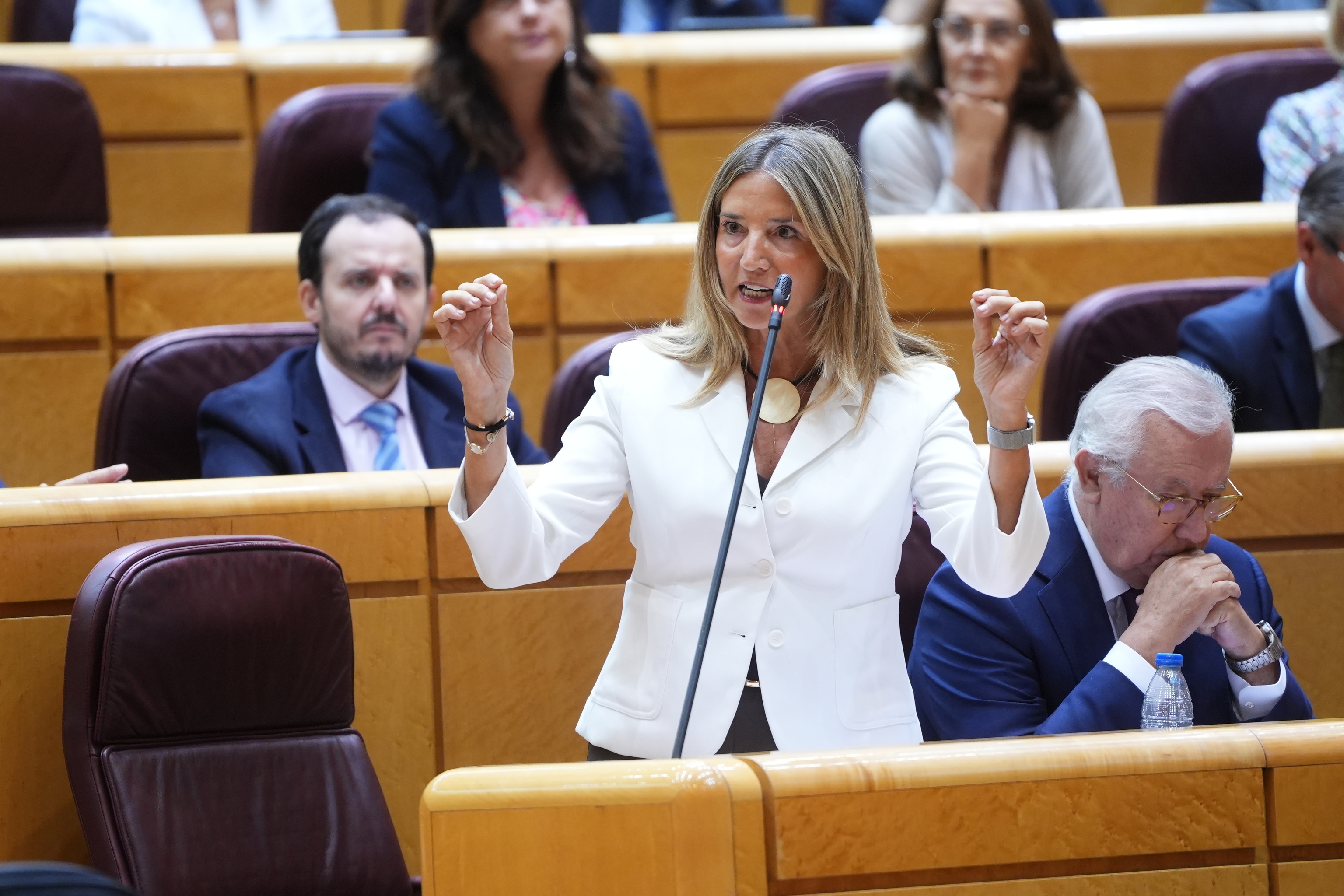 La portavoz del PP en el Senado, Alicia García.