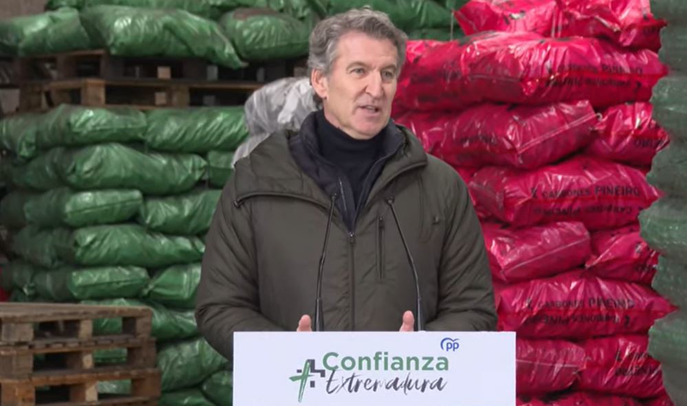 Núñez Feijóo durante su comparecencia hoy