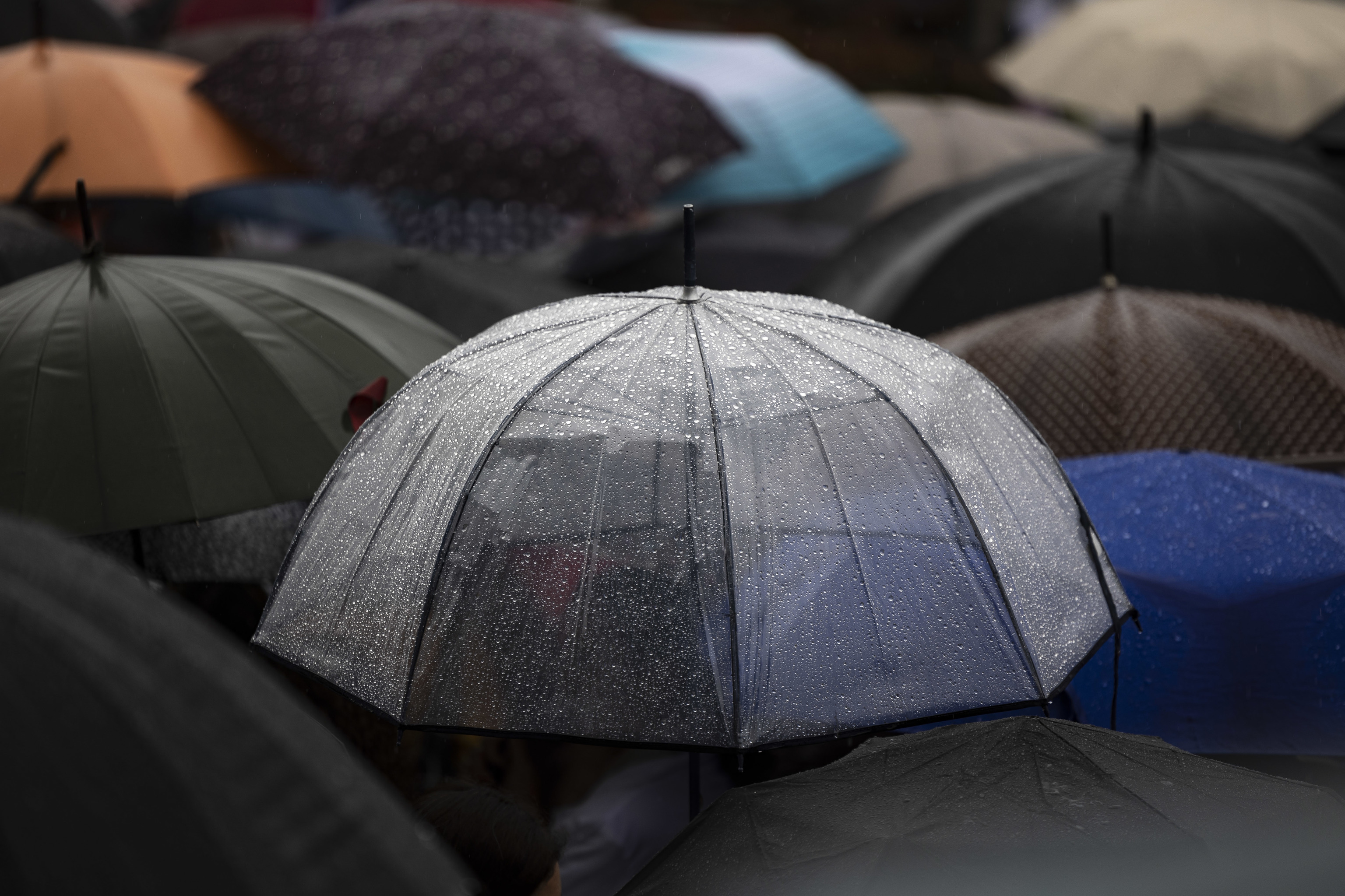 Donostiarras se protegen de la lluvia el pasado miércoles.