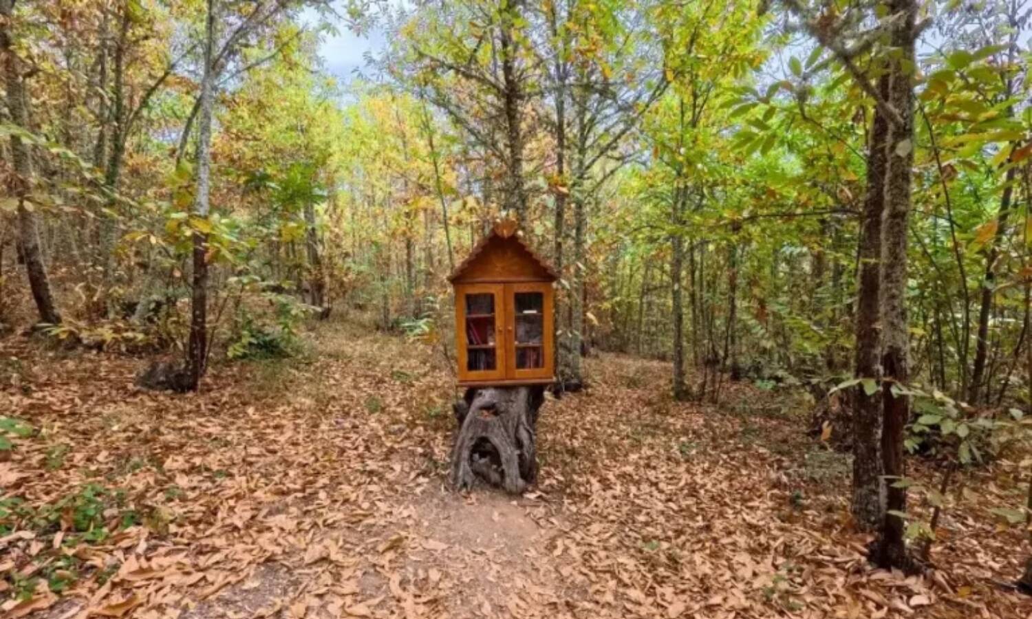 Foto: La ruta de senderismo que tienes que hacer sí o sí en León. (Turismo Bierzo Rural)