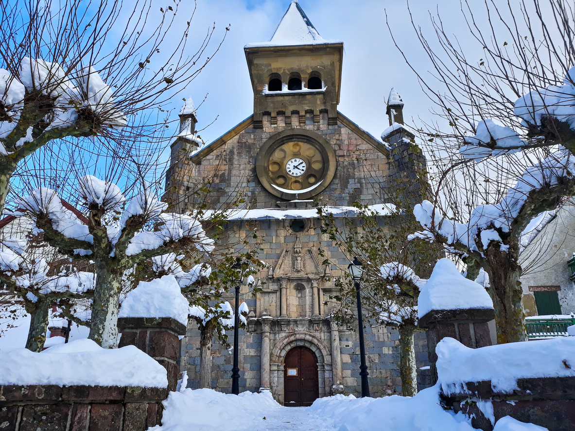 Foto: (Fuente: iStock)