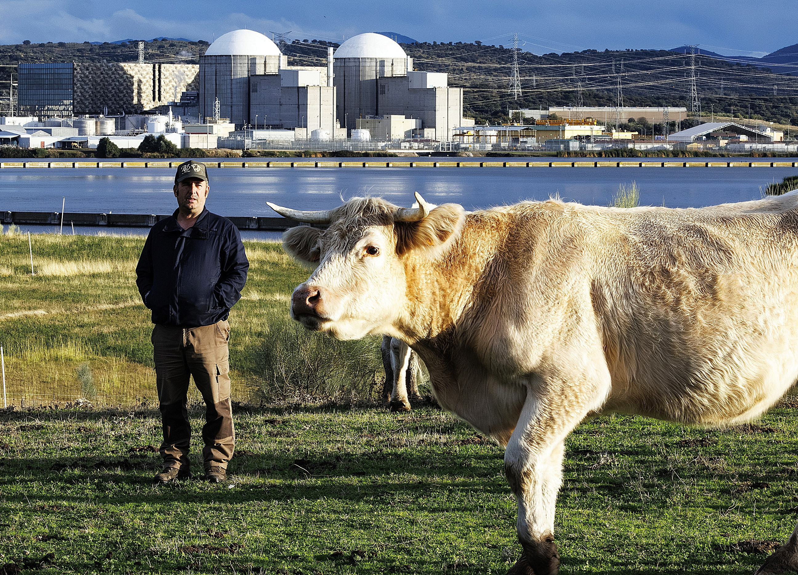 Alberto Álvarez Curiel, de 45 años, con sus vacas y la central de Almaraz de fondo, en la que trabaja en las recargas.