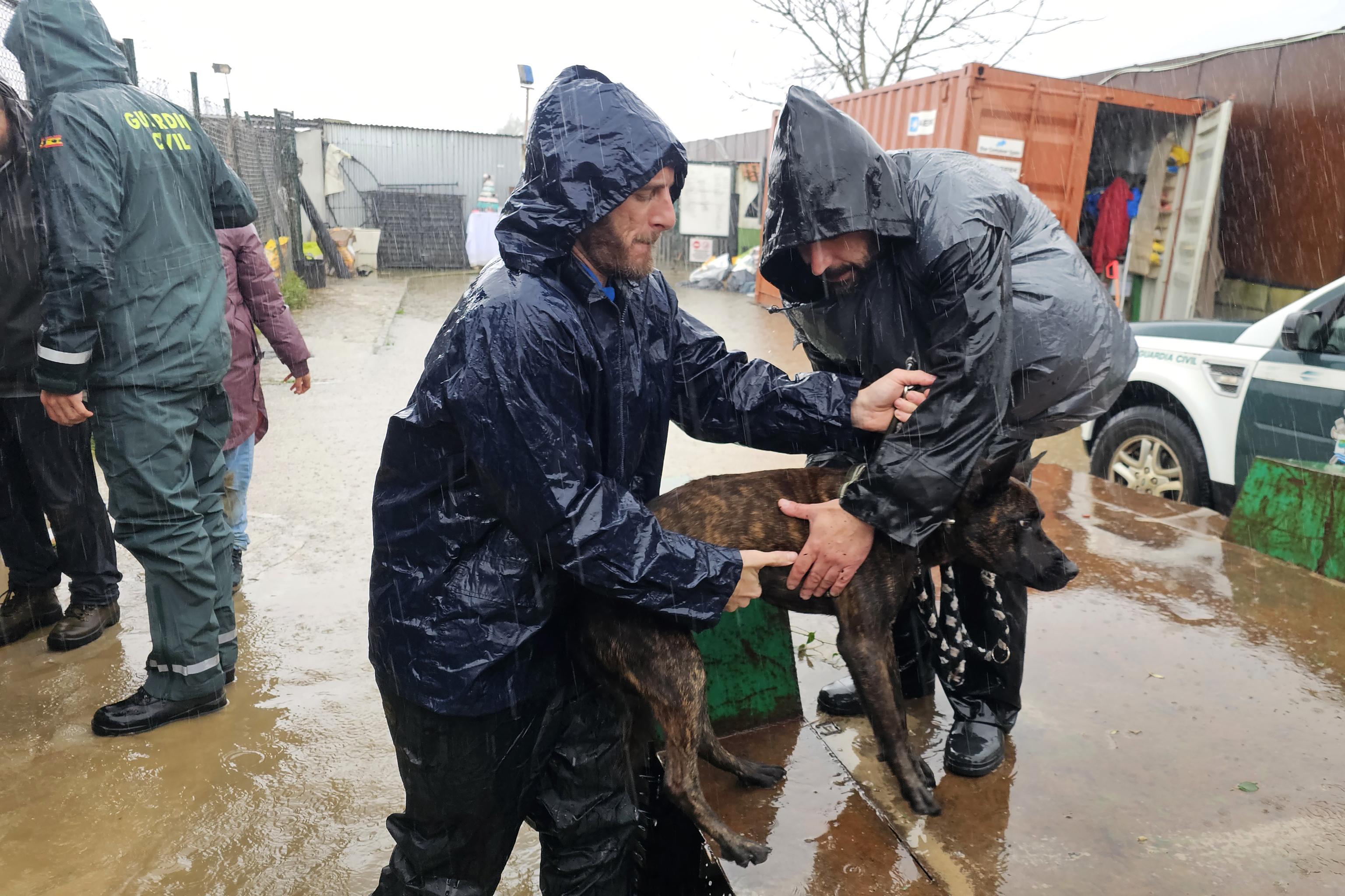 Dos voluntarios sacan a un perro de la perrera de Los Barrios en (Cádiz) que se ha inundado por el paso de la Borrasca Francis.