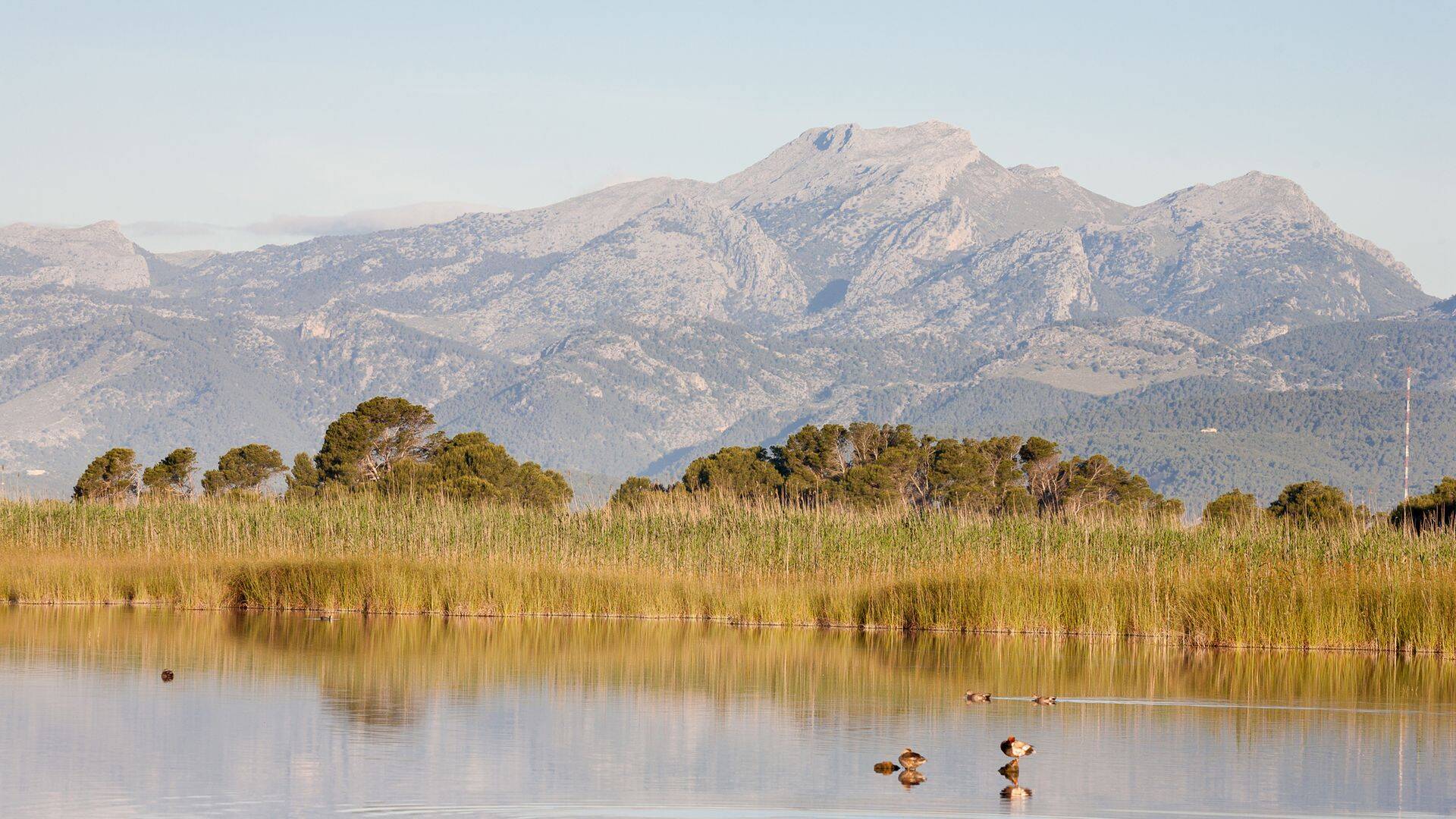 Foto: Descubre el Parque Natural más grande de Baleares. (Illes Balears)