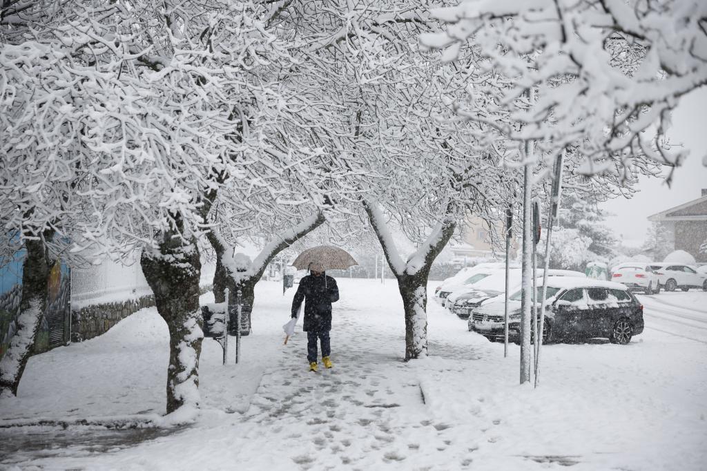 Una calle nevada en Soto del Real (Madrid), donde se han suspendido las clases.