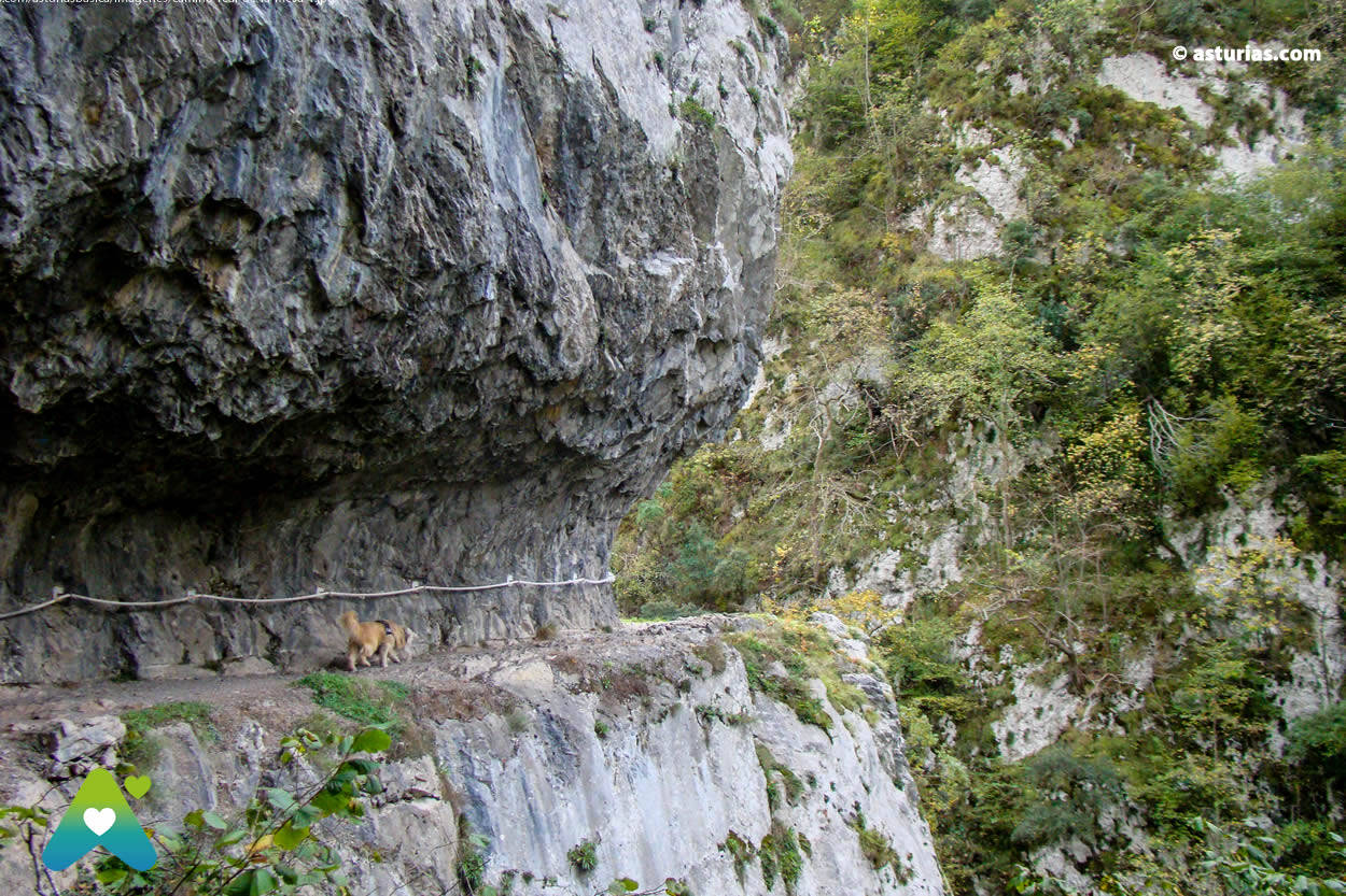 Foto: Esta ruta asturiana nos permitirá descubrir un abrupto desfiladero repleto de naturaleza. (Asturias.com)