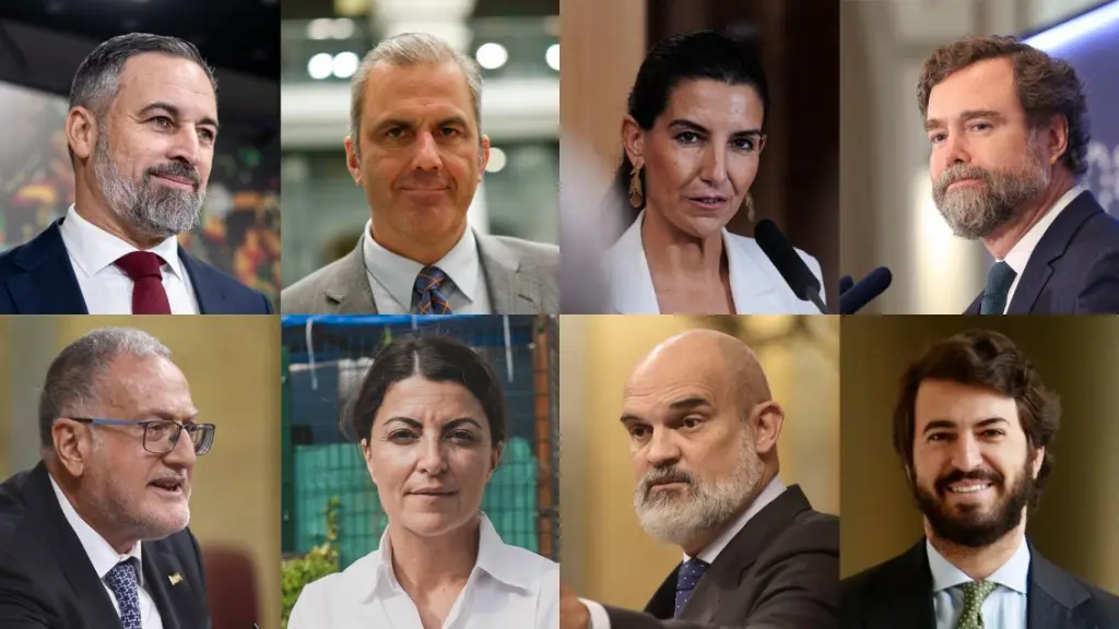 Santiago Abascal, Javier Ortega Smith, Rocío Monasterio, Iván Espinosa de los Monteros, Juan Luis Steegmann, Macarena Olona, Víctor Sánchez del Real y Juan García-Gallardo.