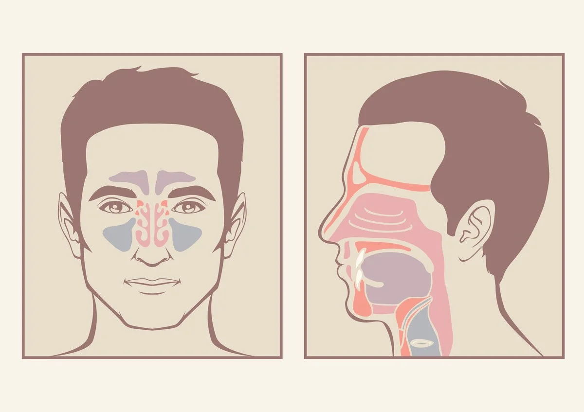 6 síntomas de sinusitis que confundes con un resfriado común en invierno - image 1