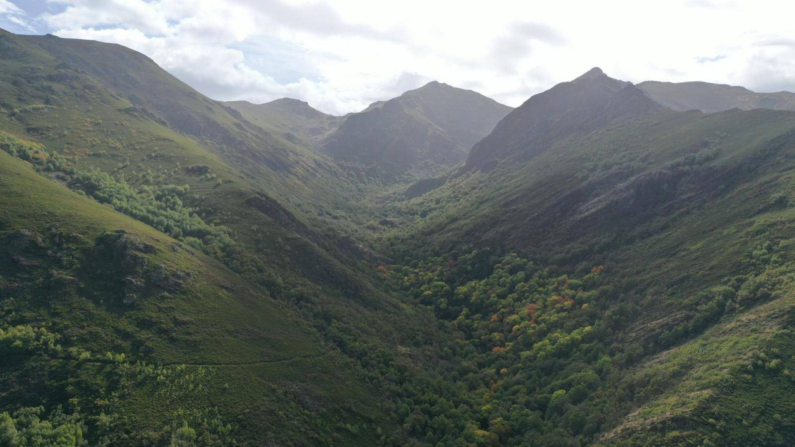 Foto: Descubre el bosque más antiguo de Galicia. (Deputación de Ourense)