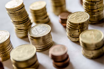 El euro, también llamada moneda