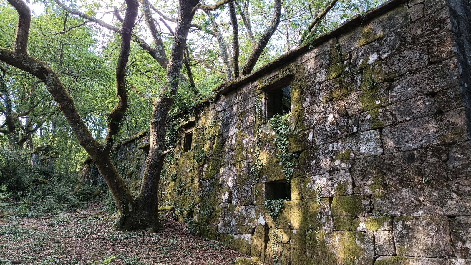 Foto: Las misteriosas ruinas cubiertas de vegetación que son todo un descubrimiento en Galicia. (Wikiloc/liliu)