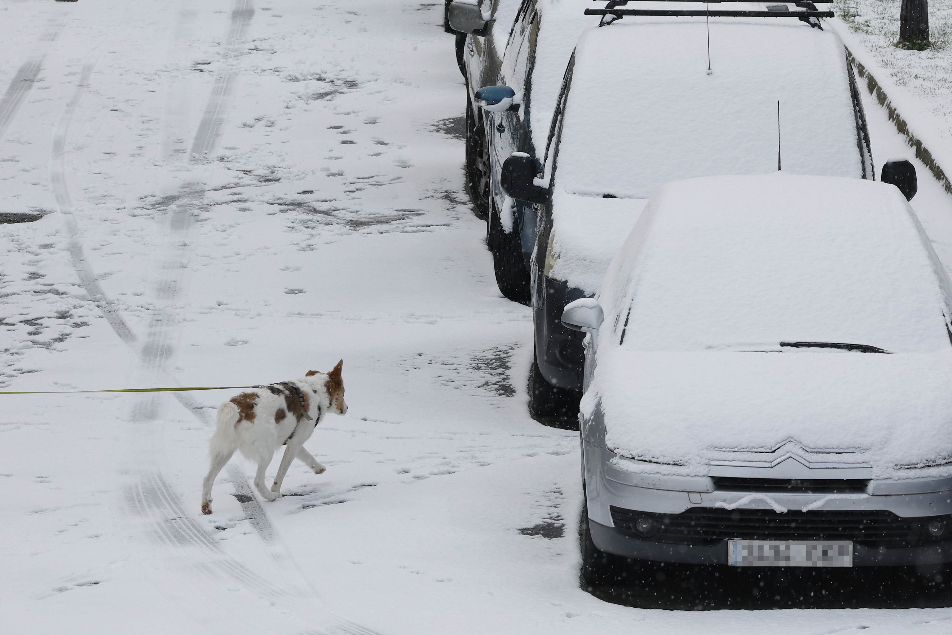 Calles recubiertas de nieve en el día de Reyes en Pamplona