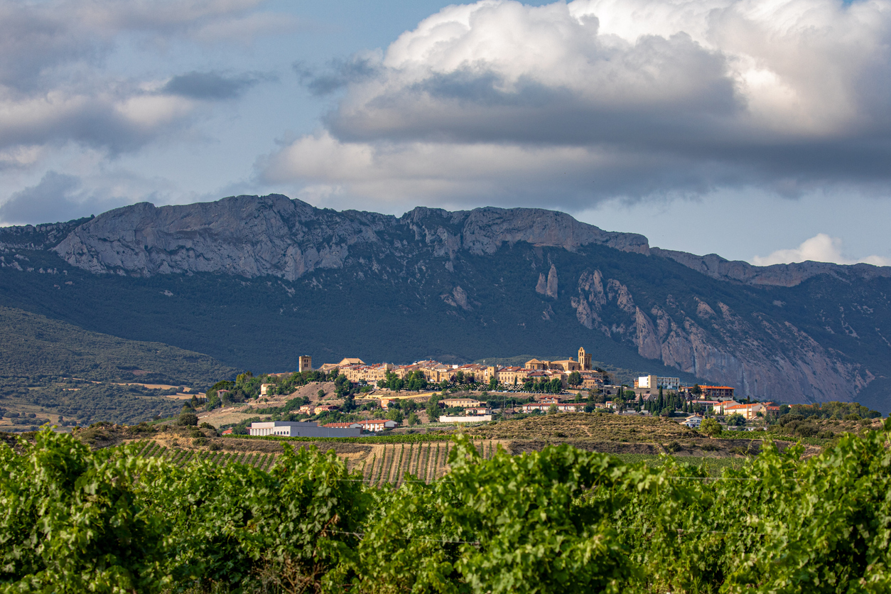 Foto: (Fuente: iStock)