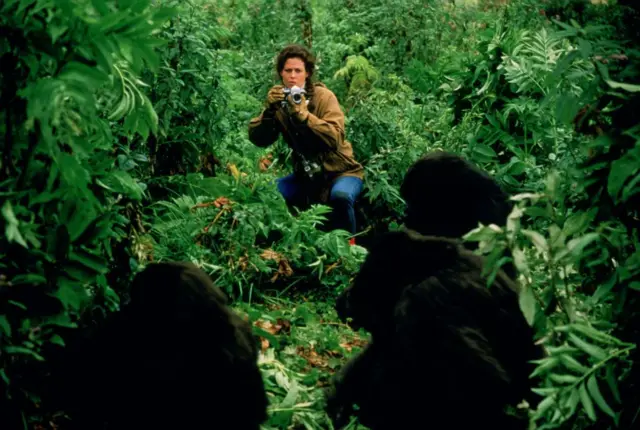 Sigourney Weaver en una escena de la película "Gorilas en la niebla".