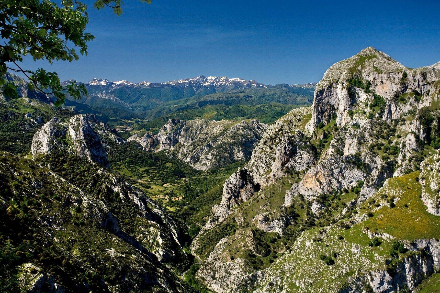 Foto: Un desfiladero de España abrupto y verde, encajado entre paredes de roca caliza. (Turismo Cantabria)