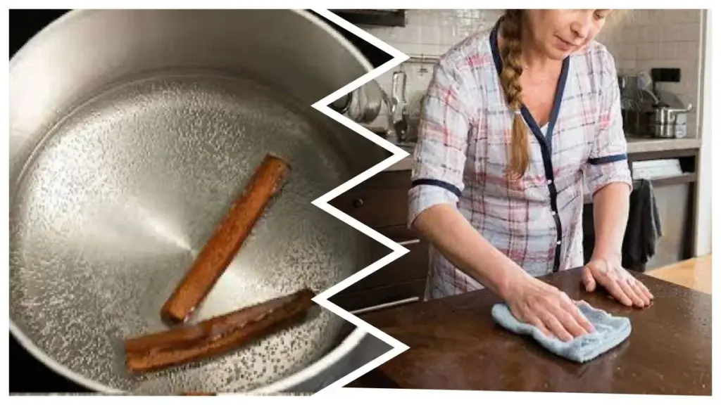 El truco de perfumistas que elimina olores de cocina y ayuda a adelgazar: solo necesitas canela y vinagre
