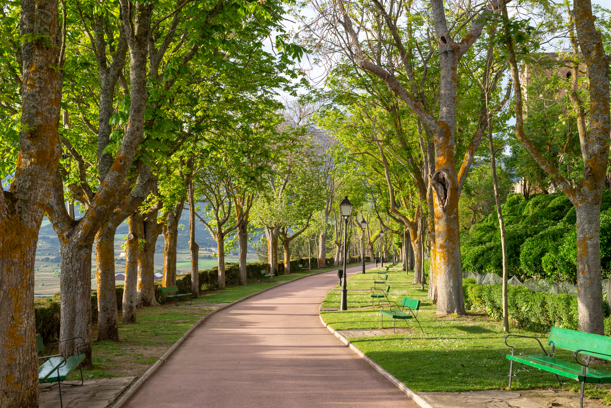 (Fuente: iStock)