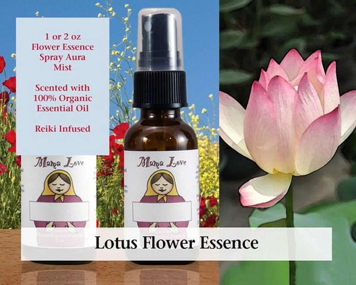 Percibes aroma de flores de la nada: ¿Es un mensaje de tus ángeles? - image 1