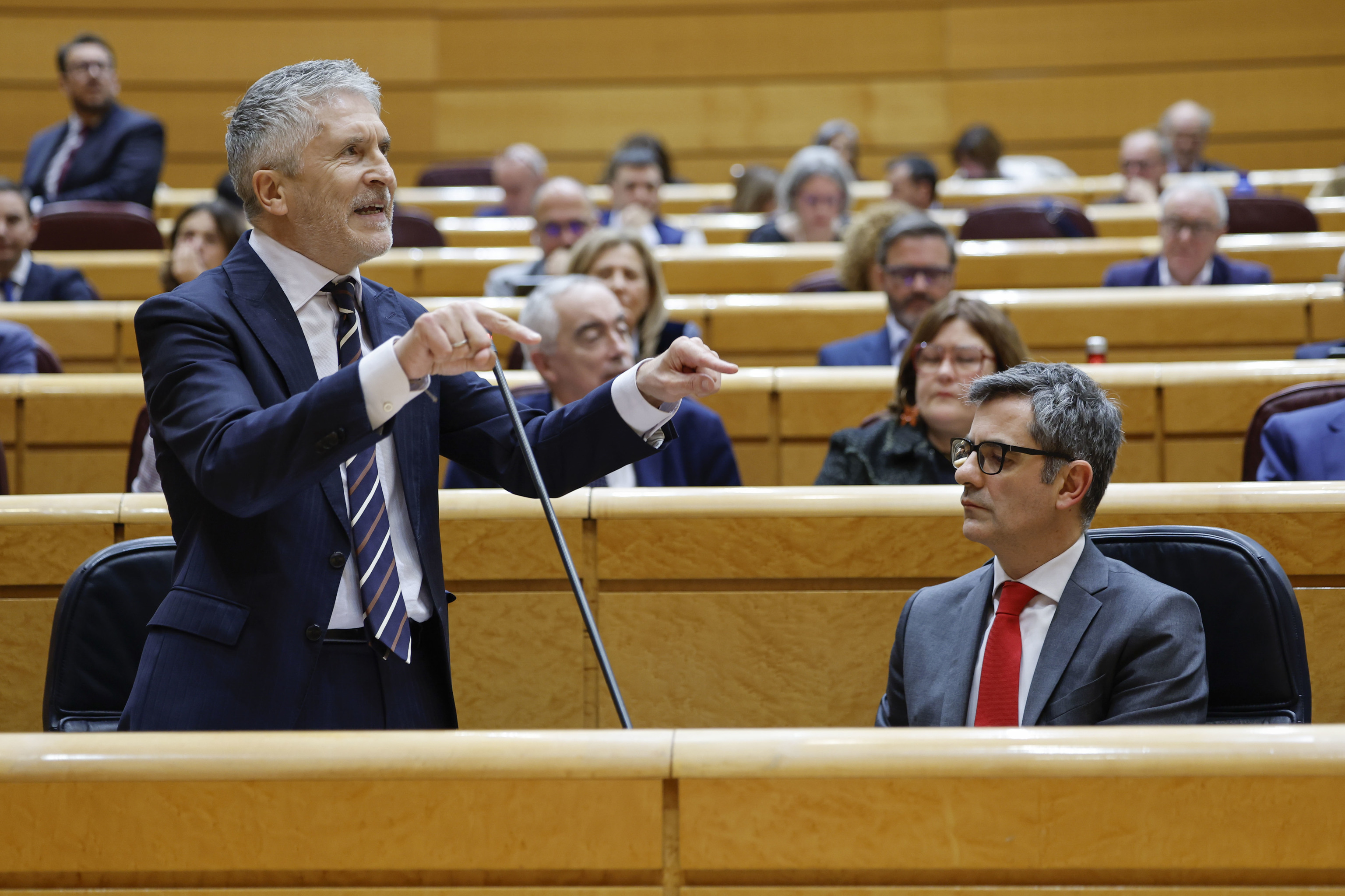 El ministro del Interior, Fernando Grande Marlaska, en el Senado.