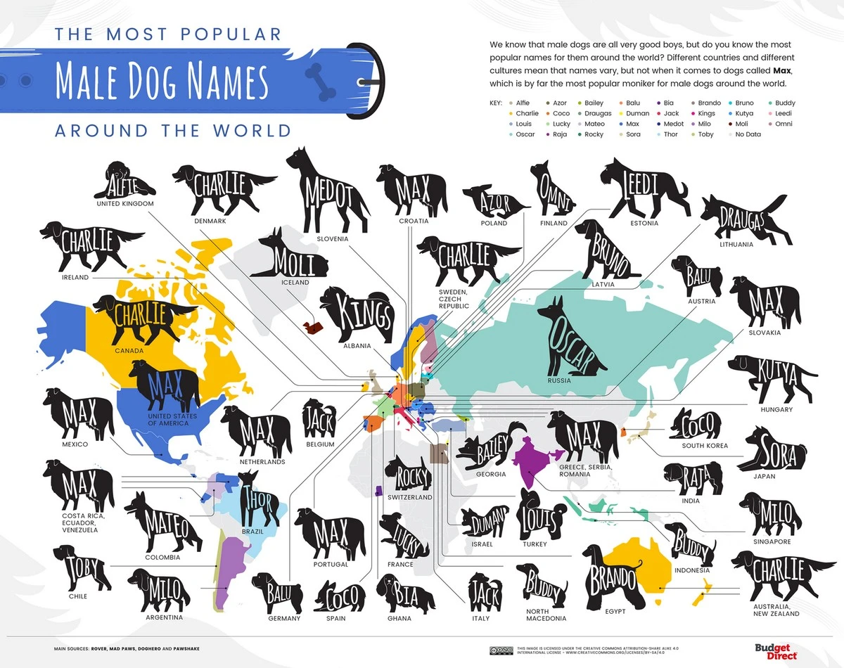 10 nombres de perros inspirados en lugares del mundo: ¿El tuyo está en esta lista? - image 1