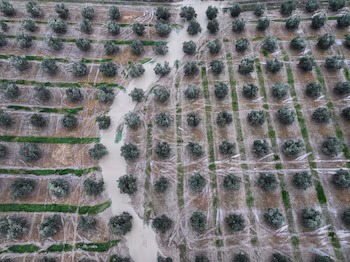 A drone view shows a