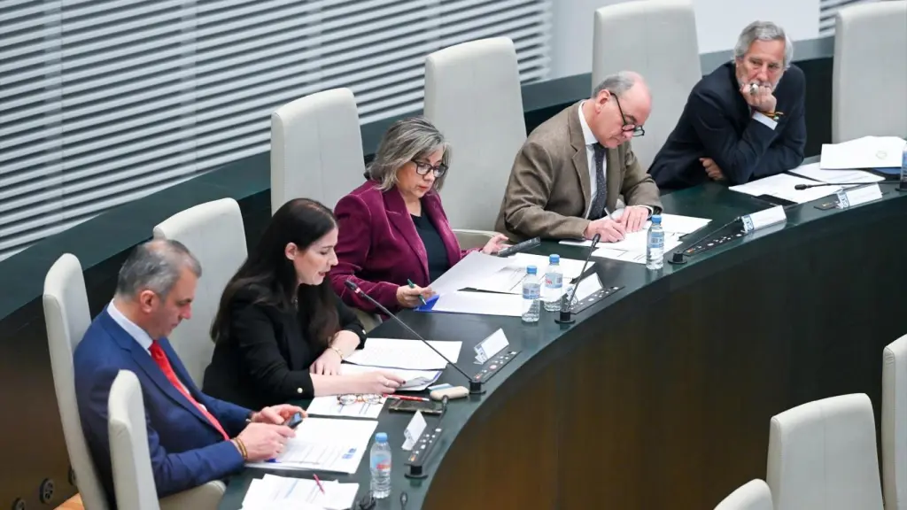 Los cinco concejales de Vox hoy en el Pleno: Ortega Smith, Carla Toscano, Arantxa Cabello, Fernando Martínez Vidal e Ignacio Ansaldo.