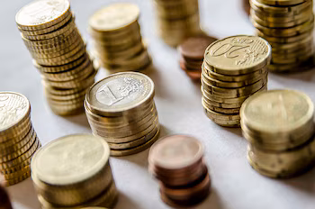 El euro, también llamada moneda