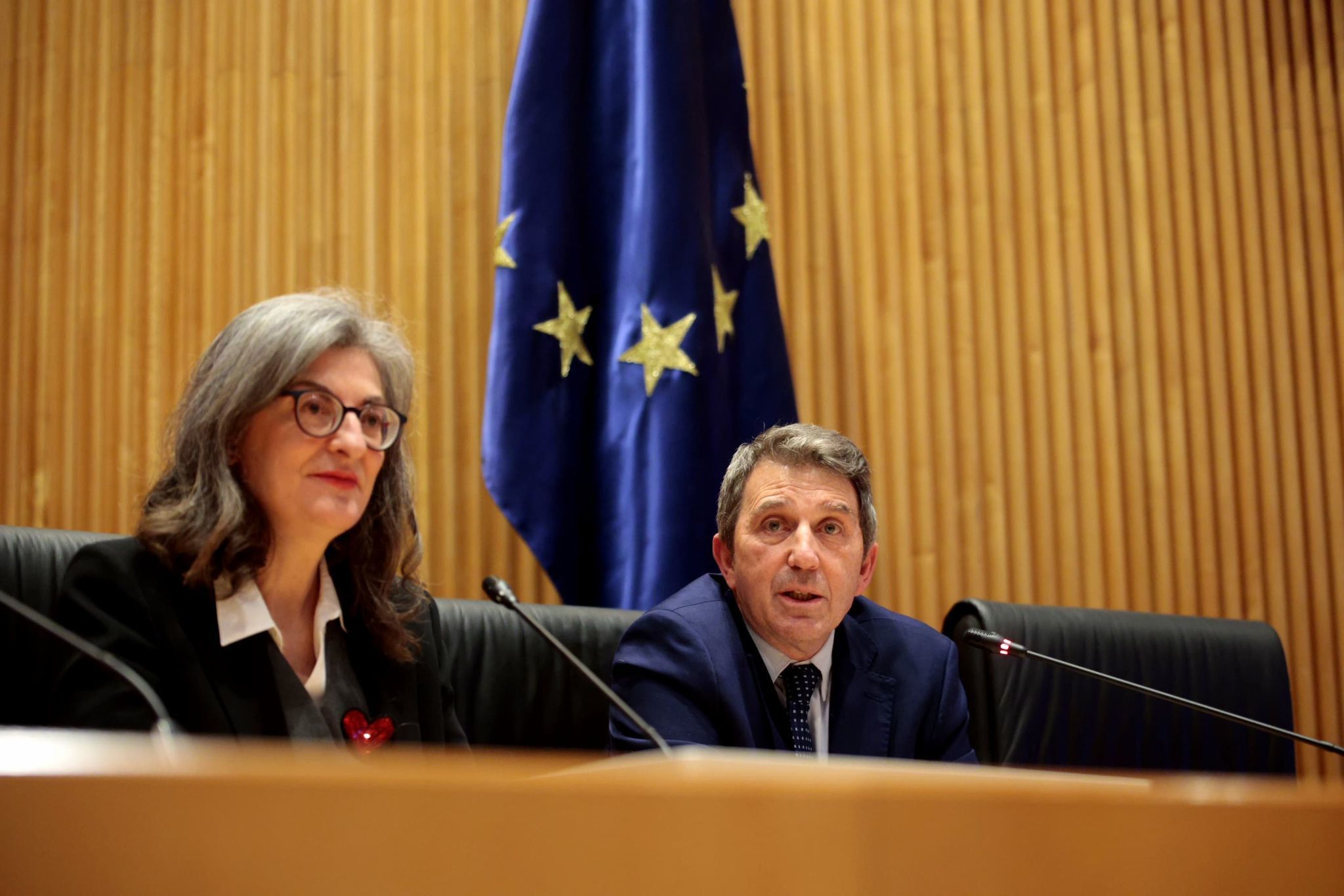 Maite Pagazaurtundua y José Domingo, durante la presentación de la Fundación Impulso y Cooperación en el Congreso.