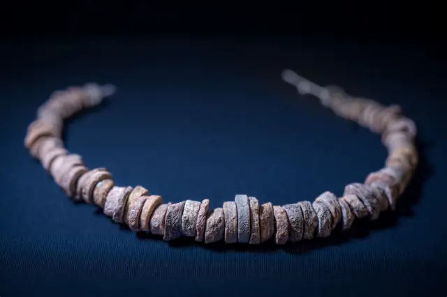 Un collar reposa sobre una tela azul, está formado por anillos fosilizados individuales ensartados en una cuerda.