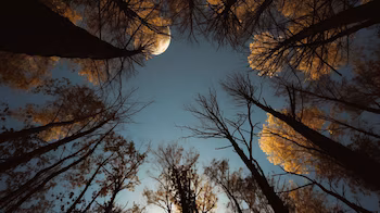 La luna muestra una parte