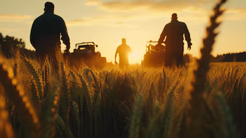 Vida en el campo. (Imagen