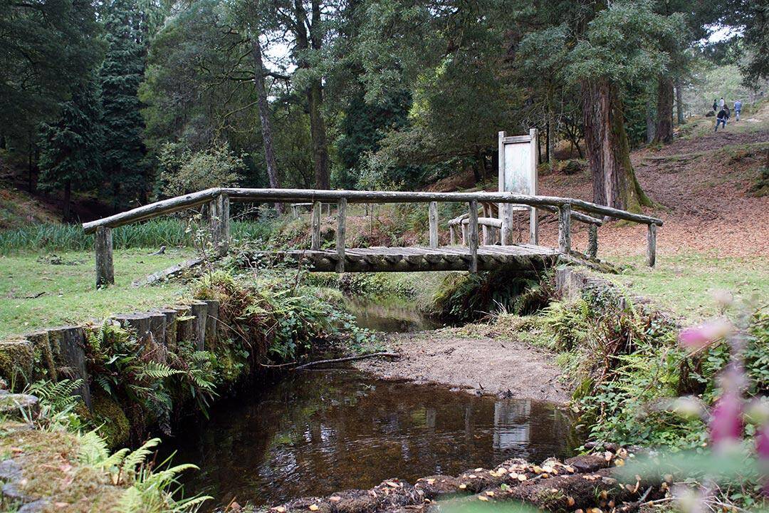 Foto: Esta ruta en Galicia es ideal para los ciudadanos más aventureros. (Patrimonio Natural de Galicia)
